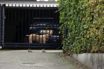 Berkel en Roderijs 23 oktober 2021
Huis van Andre Hazes waar Monique Westenberg en hun zoon Andre jr wonen