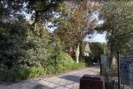 Noordwijkerhout 9 oktober 2021
Het nieuwe huis van Martien Meiland en zijn buren hebben samen een pad naar de huizen.