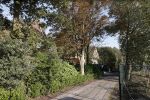 Noordwijkerhout 9 oktober 2021
Het nieuwe huis van Martien Meiland en zijn buren hebben samen een pad naar de huizen.