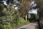 Noordwijkerhout 9 oktober 2021
Het nieuwe huis van Martien Meiland en zijn buren hebben samen een pad naar de huizen.