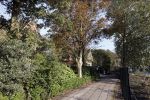 Noordwijkerhout 9 oktober 2021
Het nieuwe huis van Martien Meiland en zijn buren hebben samen een pad naar de huizen.