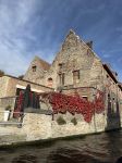 Brugge 12 Oktober 2022