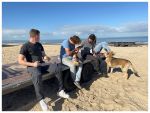 Knokke, 10 Oktober 2022 Strandtent Indi Beach einde seizoen en dus het demonteren van alles