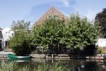 Abcoude 16 september 2023
Douwe Bob zijn vriendin met zoontje gaan verhuizen naar Abcoude . Ze hebben een huis gekocht aan het Gein .