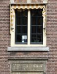 Den Haag 19 september 2023
Prinsjesdag 2023. 
Torentje van Mark Rutten met foto voor de raam.