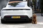 Huizen 14 september 2024
Marco Borsato Leontine Ruiters Jada Borsato Luca Borsato vieren de 23e verjaardag van Senna Borsato bij Leontine in de tuin van haar huis . Obi Ruiters waakt