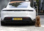 Huizen 14 september 2024
Marco Borsato Leontine Ruiters Jada Borsato Luca Borsato vieren de 23e verjaardag van Senna Borsato bij Leontine in de tuin van haar huis . Obi Ruiters waakt