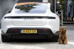 Huizen 14 september 2024
Marco Borsato Leontine Ruiters Jada Borsato Luca Borsato vieren de 23e verjaardag van Senna Borsato bij Leontine in de tuin van haar huis . Obi Ruiters waakt