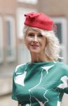 Den Haag 16 september 2025
Prinsjesdag 2025 in Den Haag .