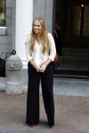 Amsterdam 10 september 2025
Prinses Amalia is uitgenodigd voor een  lunch in de ambtswoning van burgemeester Femke Halsema, waar zij een ontmoeting had met het gemeentebestuur van Amsterdam