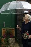 Groesbeek, 12-09-2025 - Hare Koninklijke Hoogheid Prinses Beatrix heropent de gerestaureerde korenmolen De Zuidmolen in Groesbeek. Prinses Beatrix loopt met wandelstok.