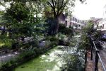 Utrecht 17 juli 2025
In het centrum staan heel veel huizen te Koop . Punt Makelaars is een van de grootste makelaars .