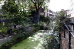 Utrecht 17 juli 2025
In het centrum staan heel veel huizen te Koop . Punt Makelaars is een van de grootste makelaars .