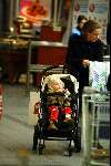 Amsterdam 23 oktob er 2003
Prinses Annette met dochter  Prinses Isabelle