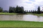 Oostburg 10 juli 2000
Golfbaan Oostburg