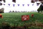 Leeuwarden 10 oktober 2001
Prins Willem Alexander en Maxima bezoeken de provincie Friesland.
oranje koeien