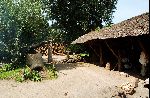 Eindhoven, 25 Oktober 2004
Historisch Openluchtmuseum Eindhoven
Pre Historisch Centrum  Historisch Dorp