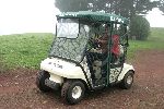 Buggy met gaas voor de veiligheid gefotografeerd op het eiland Madeira (Portugal)