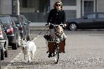 Amsterdam 29 oktober 2005
Danielle Overgaag met dochter Fiene Oerlemans in bakfiets en hond evert
