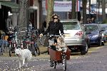Amsterdam 29 oktober 2005
Danielle Overgaag met dochter Fiene Oerlemans in bakfiets en hond evert