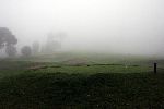Madeira, 21 Oktober 2005
Golfbaan Palheiro Golf Madeira Portugal
Soms moet je in de mist spelen omdat de baan zo hoog ligt