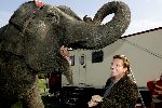 Den Haag 12 oktober 2005
Presentatie boek Henny Huisman bij circus Renz. op olifant