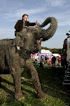 Den Haag 12 oktober 2005
Presentatie boek Henny Huisman bij circus Renz. op olifant