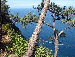 Eiland Madeira (Portugal)
