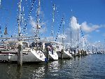 Marina Have in Lelystad Anno 2005
