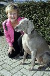 Ouderkerk aan de Amstel 3 oktober 2005
Halsband van blinde geleide honden.
Vear Mann