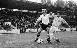 FC Den bosch-PSV 1-1 ( Vr. duel )
5 augustus 1981
Rene v d Kerkhof
