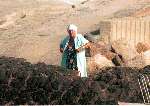 Porte Ercole 27 Juli 1996
Prinses Juliana zwemmend in zee