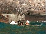 Porte Ercole 27 Juli 1996
Prinses Juliana zwemmend in zee