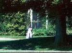 Soestdijk 30 April 1995
Wandelend in de tuin op haar verjaardag