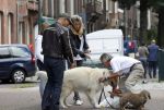 Amsterdam 24 augustus 2010
Danielle Overgaag werkt mee aan candid camera programma van sbs 6 samen met haar hond evert.
Peter Smulders bv