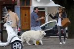Amsterdam 24 augustus 2010
Danielle Overgaag werkt mee aan candid camera programma van sbs 6 samen met haar hond evert.
Peter Smulders bv