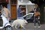 Amsterdam 24 augustus 2010
Danielle Overgaag werkt mee aan candid camera programma van sbs 6 samen met haar hond evert.
Peter Smulders bv