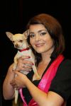 Amsterdam 23 augustus 2010
Presentatie cast Legally Blonde met in de hoofdrol Kim Lian v d Meij.
Peter Smulders bv