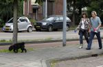 Amsterdam 1 september 2010
Tom Egbers en Janke Dekker met hun hond.
Peter Smulders bv