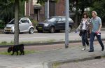 Amsterdam 1 september 2010
Tom Egbers en Janke Dekker met hun hond.
Peter Smulders bv