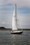 3 Dagen Makkum-Harlingen Terschelling
Foto Peter Smulders BV