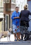 Amsterdam 3 september 2013
Hans v d Togt op terras en met zijn hond op straat