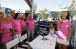 Loosdrecht 29 augustus 2015
Aftrap Ruby & Rose sms actie op de berjaardag van Anouk Smulders bij Najade in Loosdrecht.