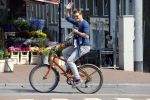 Amsterdam 20 augustus 2015
Beau v Erven Dorens op de fiets
