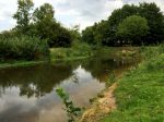 Eindhoven, 2 September 2015
Nauurlijk riviertje de Dommel met stromend water.