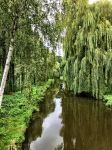 Eindhoven, 2 September 2015
Nauurlijk riviertje de Dommel met stromend water.
