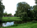 Eindhoven, 2 September 2015
Nauurlijk riviertje de Dommel met stromend water.