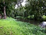 Eindhoven, 2 September 2015
Nauurlijk riviertje de Dommel met stromend water.