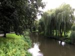 Eindhoven, 2 September 2015
Nauurlijk riviertje de Dommel met stromend water.