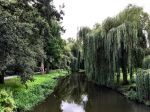 Eindhoven, 2 September 2015
Nauurlijk riviertje de Dommel met stromend water.